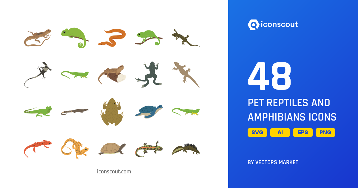 Pet Reptiles And Amphibians Icon Pack - 48 Free Download Animal Icons ...