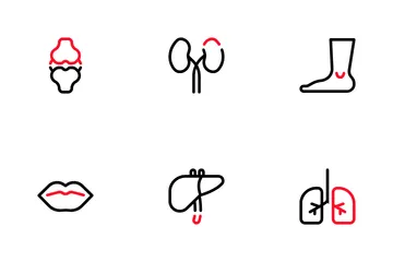 Anatomia Pacote de Ícones