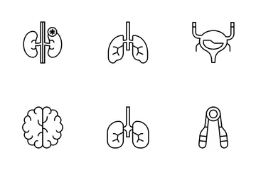 Anatomia humana Pacote de Ícones