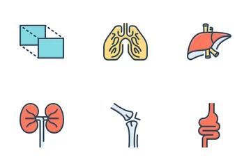 Anatomia humana Pacote de Ícones