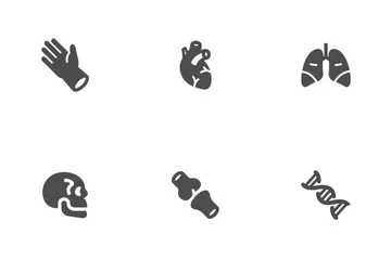 Anatomía humana Paquete de Iconos