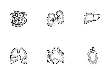 Anatomía humana Paquete de Iconos