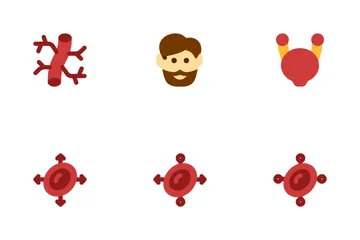 Anatomia humana Pacote de Ícones