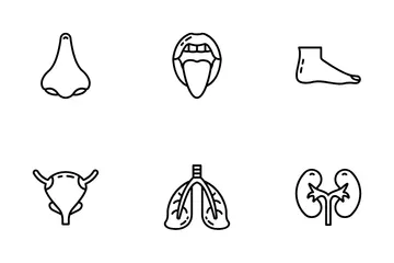 Anatomia humana Pacote de Ícones