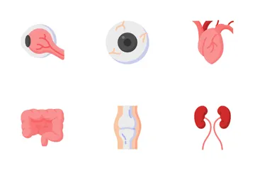 Anatomia Plana V1 Pacote de Ícones
