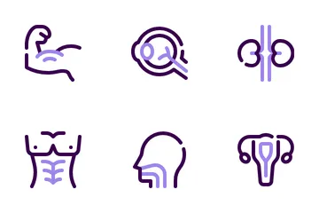 Anatomia umana Icon Pack