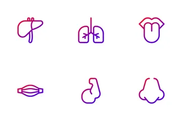 Anatomie Pack d'Icônes