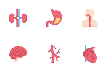 Anatomie Pack d'Icônes