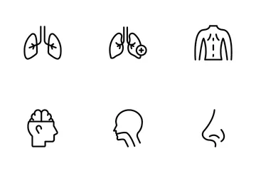 Anatomie Pack d'Icônes