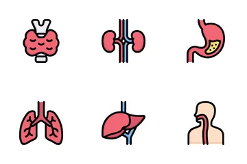 Anatomy Icon Pack