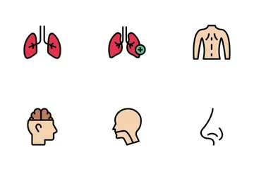 Anatomy Icon Pack