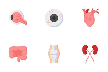 Anatomy Flat V1 Icon Pack