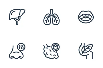 Anatomy Icon Pack