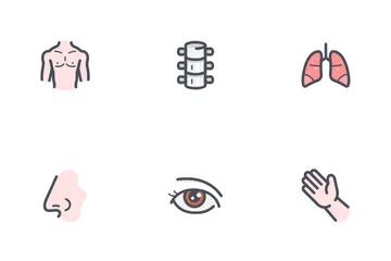 Anatomy Icon Pack