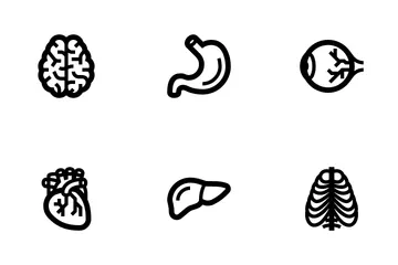 Anatomy Icon Pack