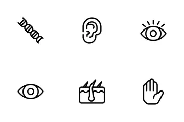 Anatomy Icon Pack