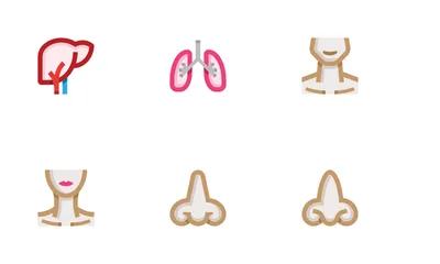 Anatomy Icon Pack