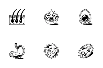Anatomy Icon Pack