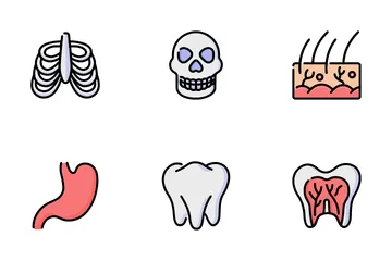 Anatomy V1 Icon Pack