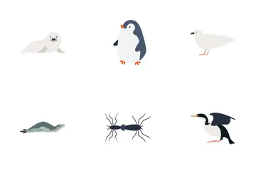 Antarctica Animals Icon Pack