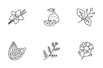 Aromatherapy Herbs Icon Pack