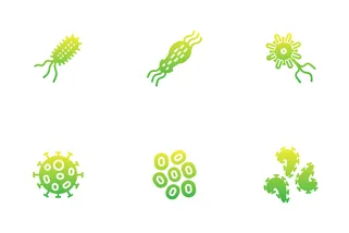Bacteria And Viruses