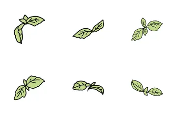 Basil Icon Pack