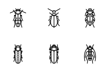 Beetles Icon Pack