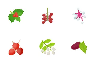 Berries Flat Icons