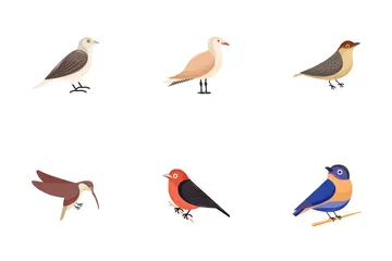 Bird Icon Pack