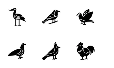 Birds Icon Pack