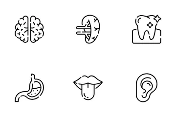 Body Anatomy Icon Pack