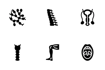 Body Anatomy Icon Pack