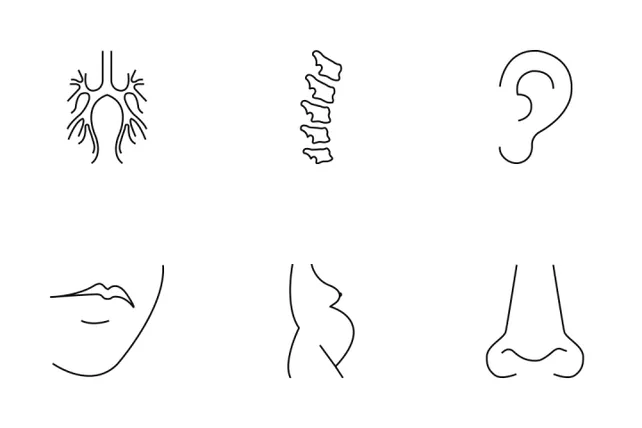 Body Parts Icon Pack - 19 Line Healthcare & Medical Icons | SVG, PNG ...