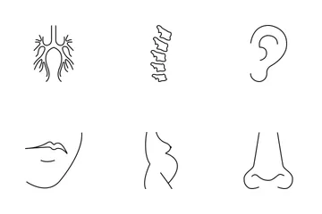 Body Parts Icon Pack