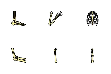 Bone Human Skeleton Structure Icon Pack