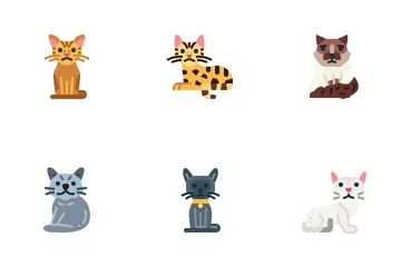 Cat 1 Icon, Keith's Cats Iconpack