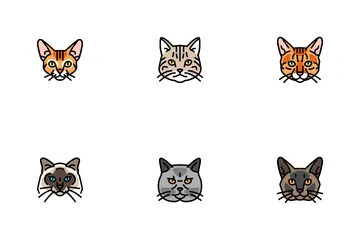 Cat Cute Pet Animal Kitten Funny Icon Pack