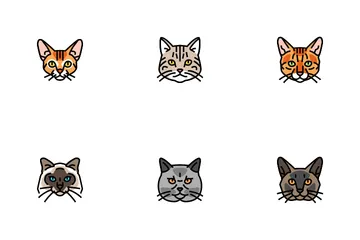 Cat Cute Pet Animal Kitten Funny Icon Pack