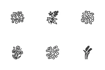 Cereal Plant Icon Pack