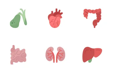 Corpo humano Pacote de Ícones