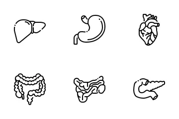 Parte do corpo humano Pacote de Ícones