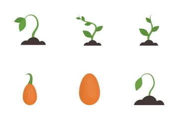 Crecimiento de una planta Paquete de Iconos