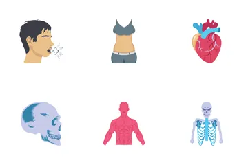 Cuerpo humano Paquete de Iconos