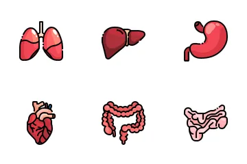 Parte del cuerpo humano Paquete de Iconos