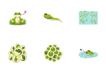Cycle de vie de la grenouille Pack d'Icônes