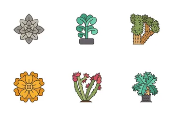 Desert Plants Icon Pack