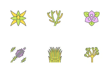 Desert Plants Icon Pack