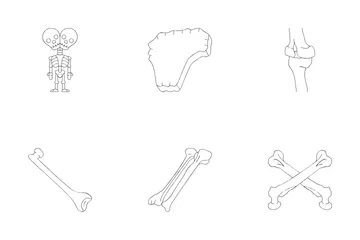 Esqueleto humano Pacote de Ícones