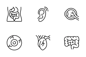 Estilo de contorno de anatomia V1 Pacote de Ícones